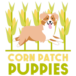 Home - Corn Patch Puppies